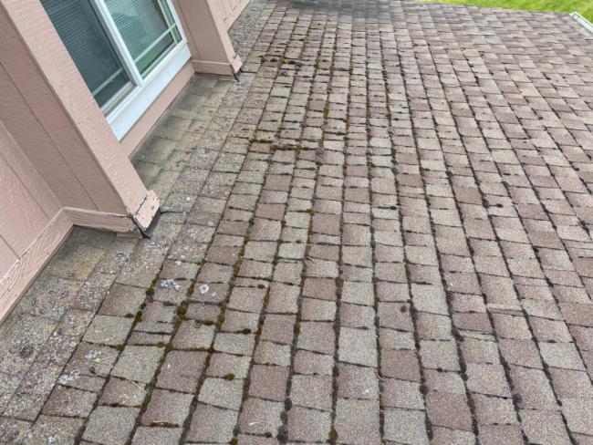 Moss Removal Roof Treatment and Gutter Cleaning in Spokane, WA